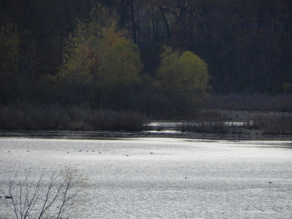 Murray Lake Highland Twp MI